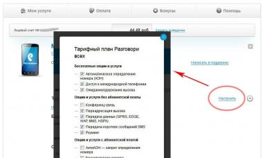 How to find out connected services on Rostelecom?